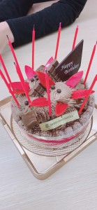 84D9FD1F-0E36-4D00-9ED1-E2ADB4FE8ED0